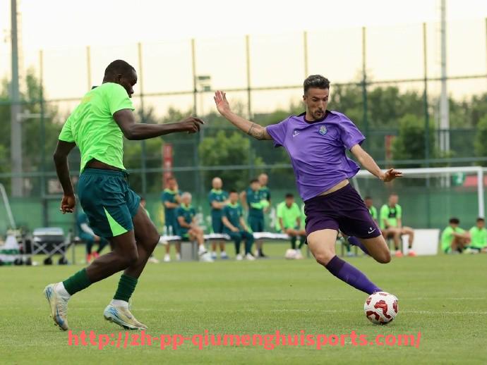 球盟会官网-世俱杯判罚尺度及裁判判罚一致性讨论