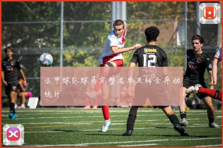 法甲球队球员完整名单及转会异动统计