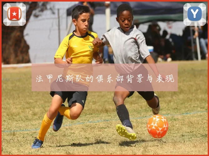 法甲尼斯队的俱乐部背景与表现