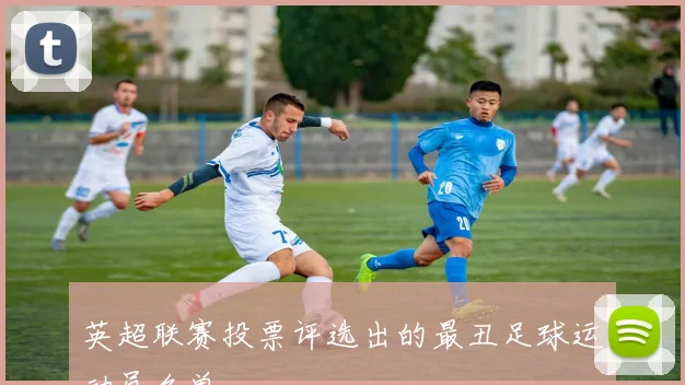 英超联赛投票评选出的最丑足球运动员名单