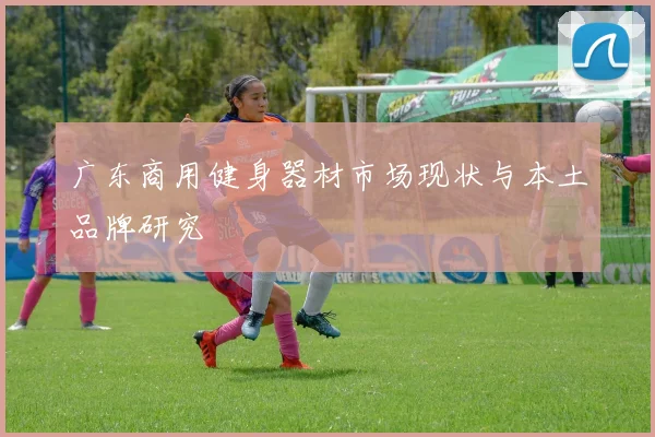 广东商用健身器材市场现状与本土品牌研究